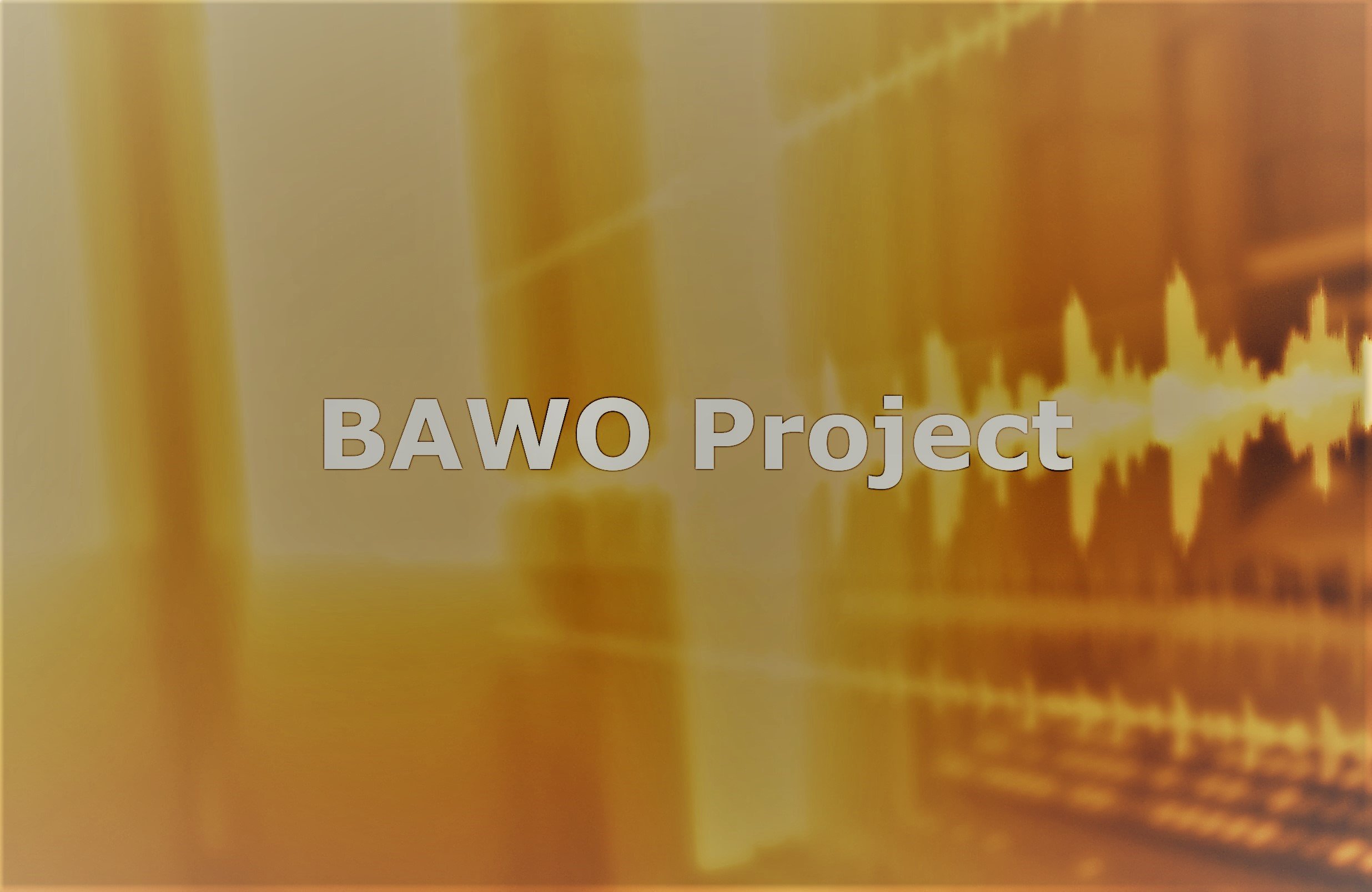 (c) Bawoproject.de